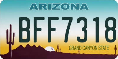 AZ license plate BFF7318