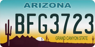 AZ license plate BFG3723