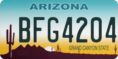 AZ license plate BFG4204