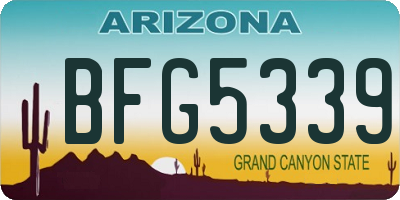 AZ license plate BFG5339
