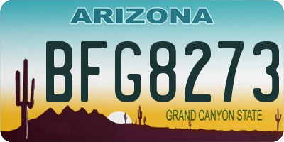AZ license plate BFG8273