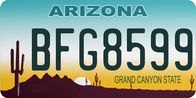 AZ license plate BFG8599