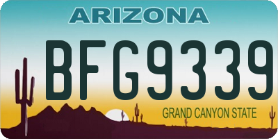 AZ license plate BFG9339