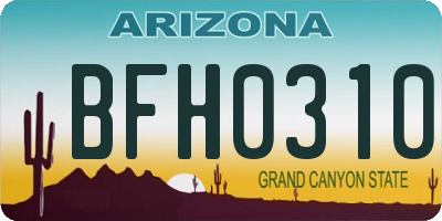 AZ license plate BFH0310