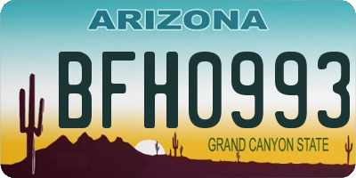 AZ license plate BFH0993