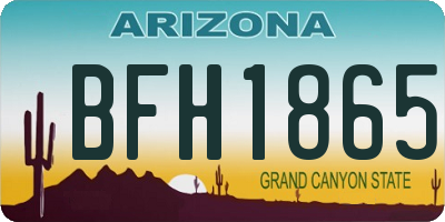 AZ license plate BFH1865