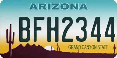 AZ license plate BFH2344