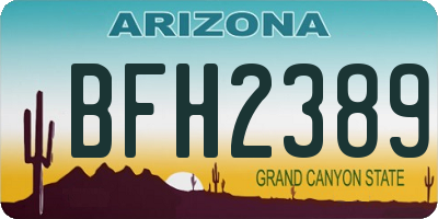 AZ license plate BFH2389