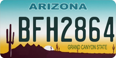 AZ license plate BFH2864