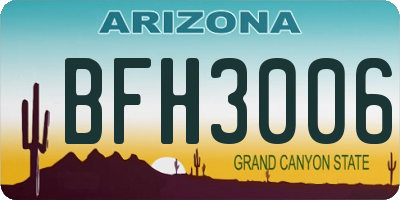 AZ license plate BFH3006