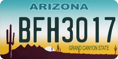 AZ license plate BFH3017