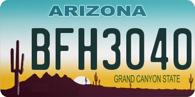 AZ license plate BFH3040