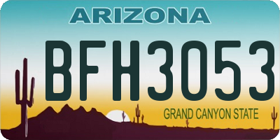 AZ license plate BFH3053