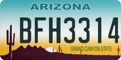 AZ license plate BFH3314