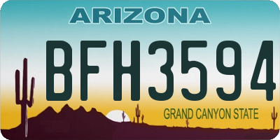 AZ license plate BFH3594