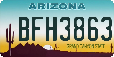 AZ license plate BFH3863