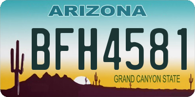 AZ license plate BFH4581