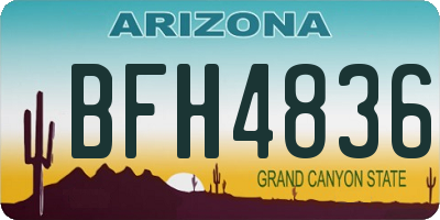 AZ license plate BFH4836