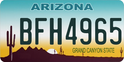 AZ license plate BFH4965