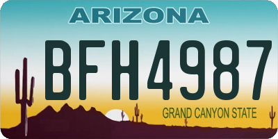 AZ license plate BFH4987