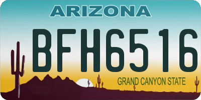 AZ license plate BFH6516