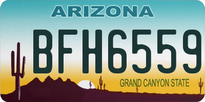 AZ license plate BFH6559
