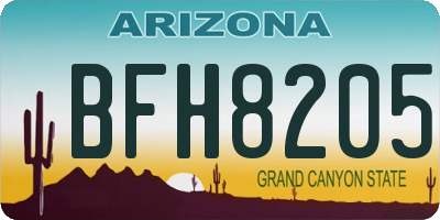 AZ license plate BFH8205