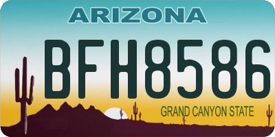 AZ license plate BFH8586