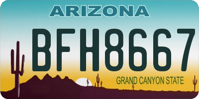 AZ license plate BFH8667