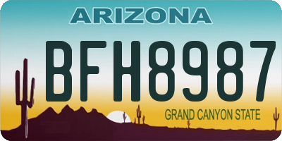 AZ license plate BFH8987