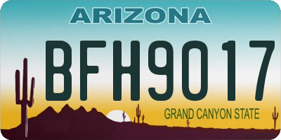 AZ license plate BFH9017