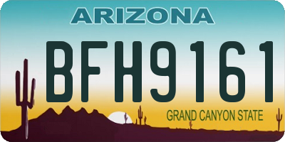 AZ license plate BFH9161