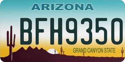 AZ license plate BFH9350