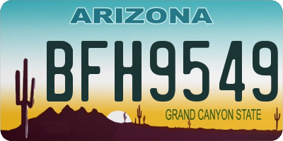 AZ license plate BFH9549