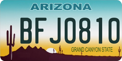 AZ license plate BFJ0810