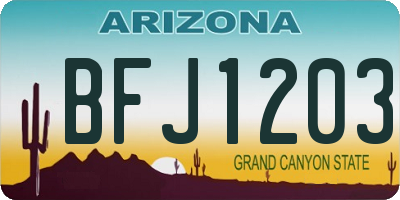AZ license plate BFJ1203