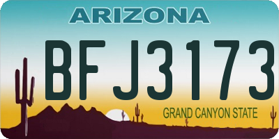 AZ license plate BFJ3173