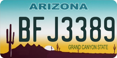 AZ license plate BFJ3389