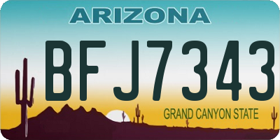 AZ license plate BFJ7343