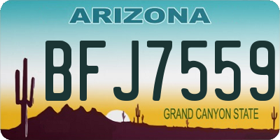 AZ license plate BFJ7559