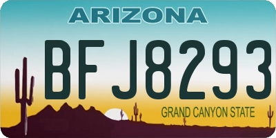 AZ license plate BFJ8293