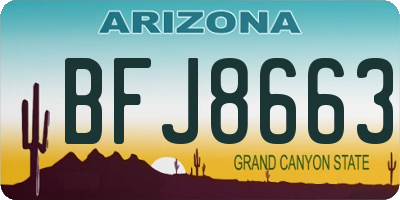 AZ license plate BFJ8663