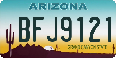 AZ license plate BFJ9121