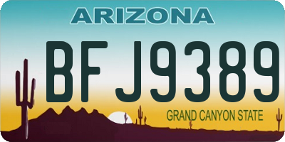 AZ license plate BFJ9389
