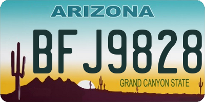 AZ license plate BFJ9828