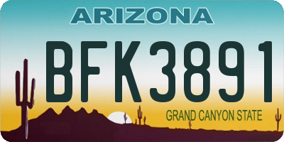 AZ license plate BFK3891