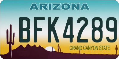 AZ license plate BFK4289