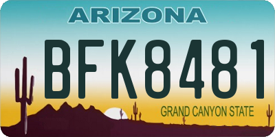 AZ license plate BFK8481