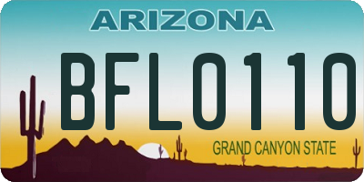AZ license plate BFL0110