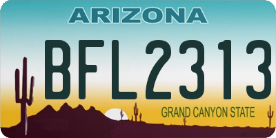 AZ license plate BFL2313